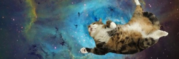 Agile_Cat Profile Banner
