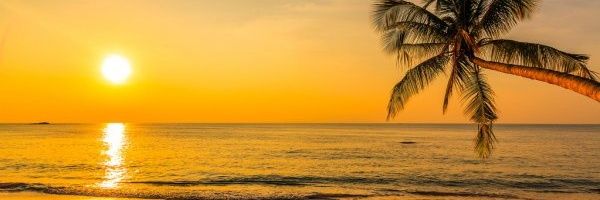 sebadeolivera's profile banner image