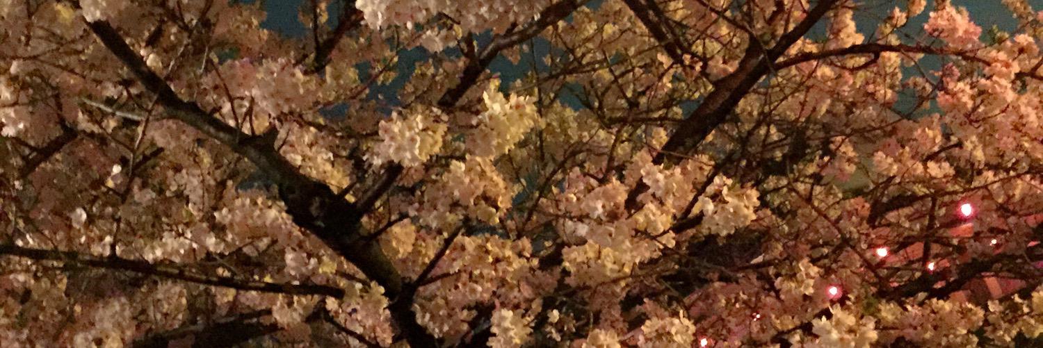 nf21120's profile banner image