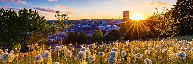 moreSheffield's profile banner image