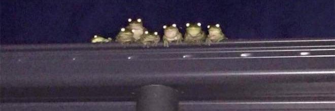 DarkFAmaster's profile banner image