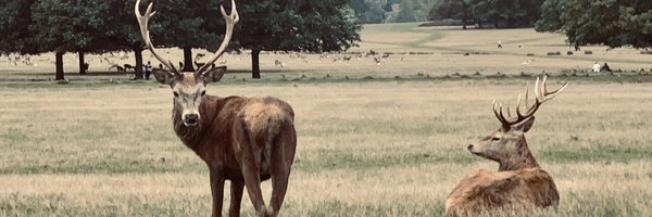 danfinch1 Profile Banner