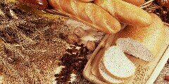 PANADERICANDELO's profile banner image