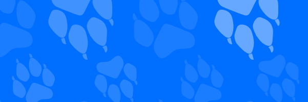 6Wolves_'s profile banner image