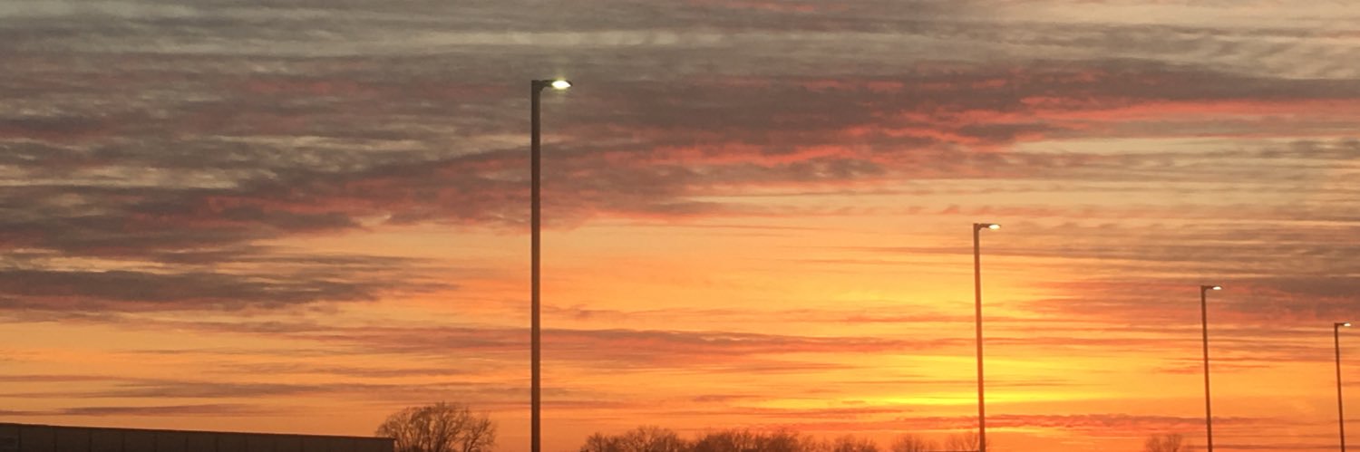 seleeener_'s profile banner image