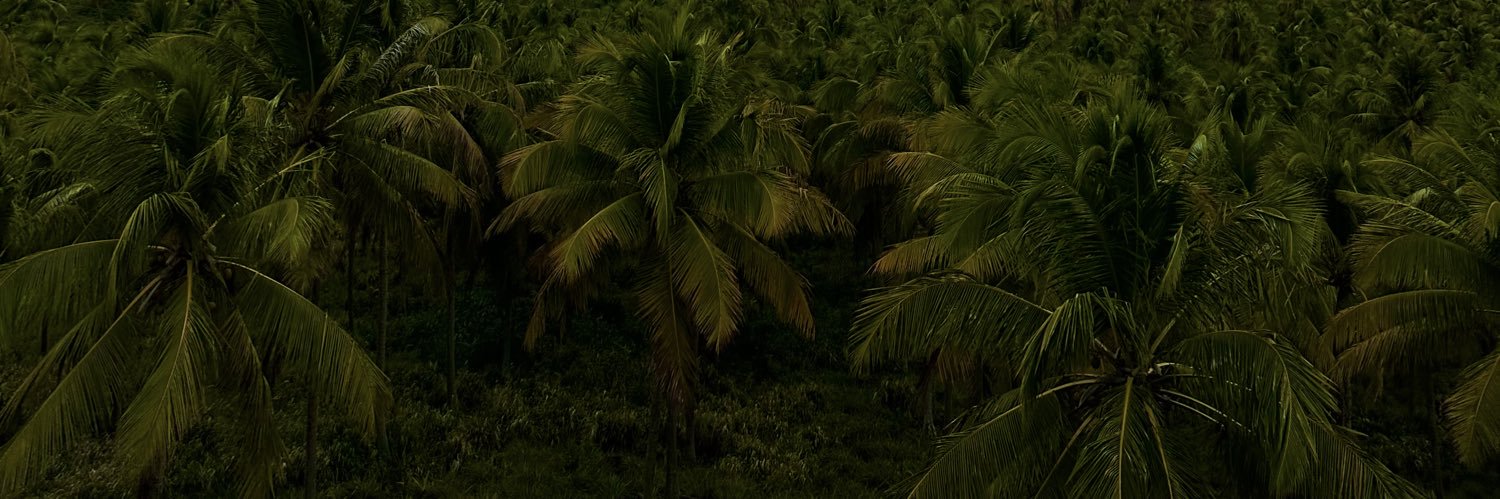 ctosbas's profile banner image