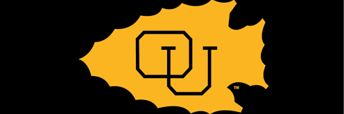 Ottawa Wrestling banner