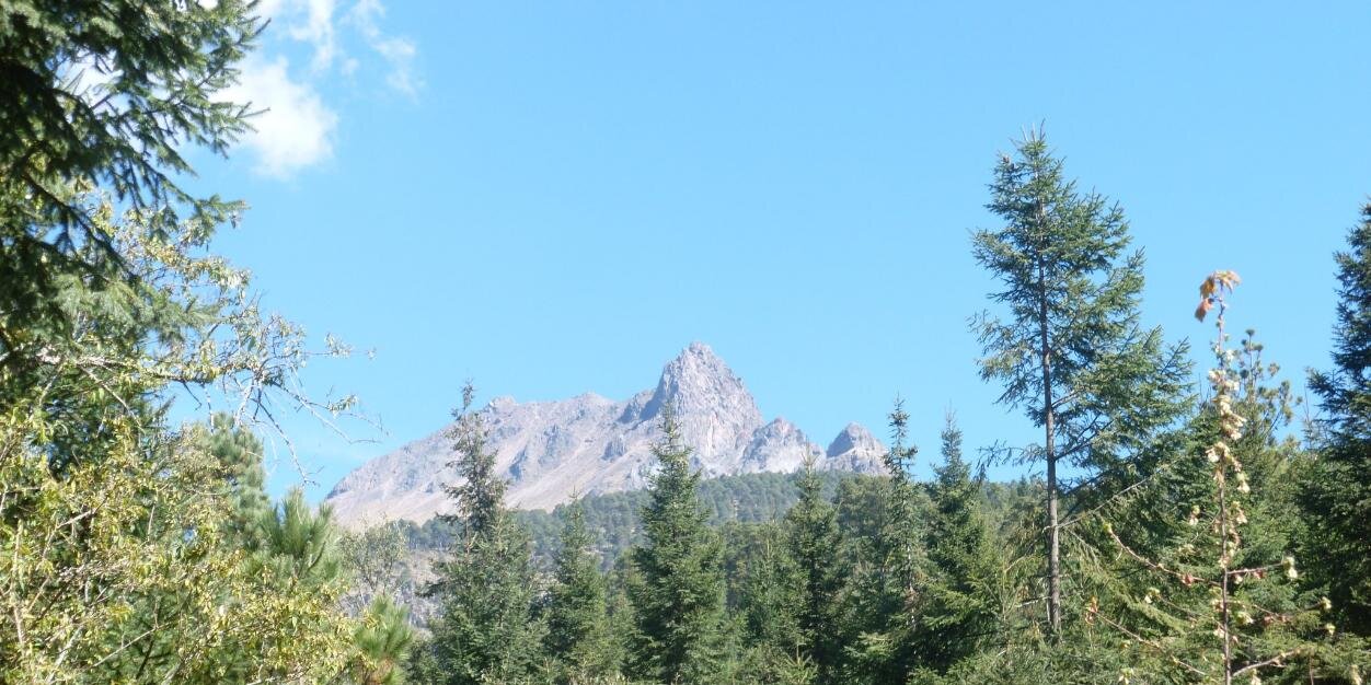 FreeRidePuebla's profile banner image