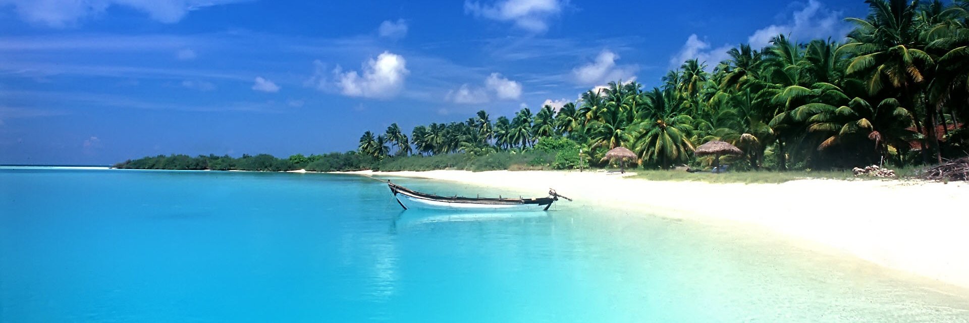 Erik Neandross banner