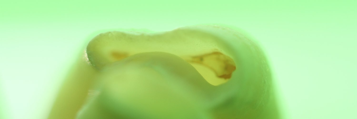 EsteveFormacion's profile banner image