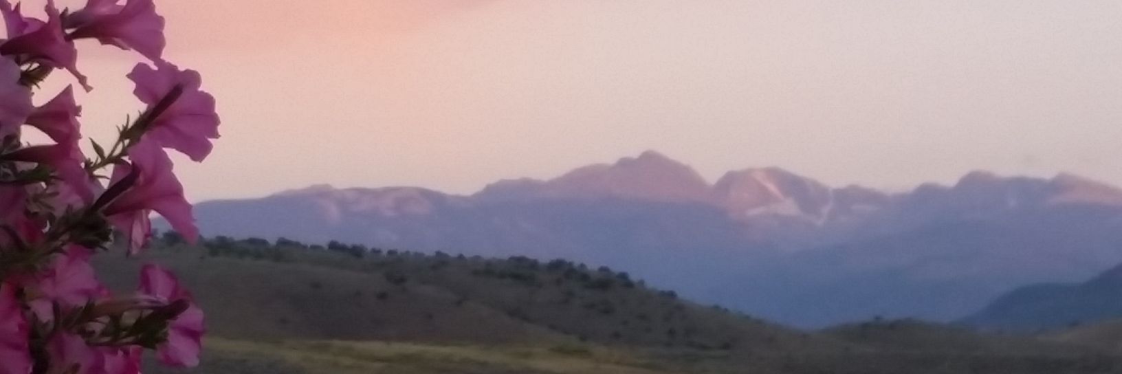 MiriamRossow's profile banner image