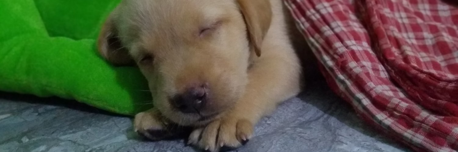 dablu29's profile banner image