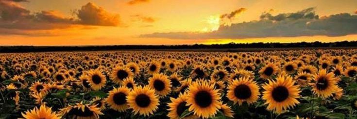 Becca_lee01's profile banner image