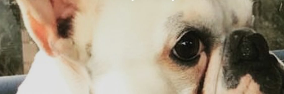 GuPiRom's profile banner image