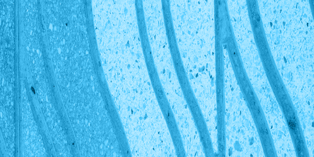 wpcourseuk's profile banner image