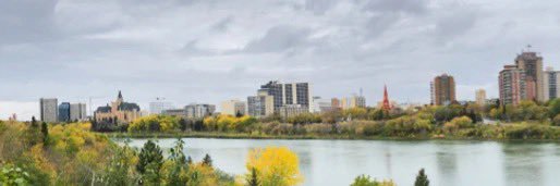 Mia Holowaychuk banner