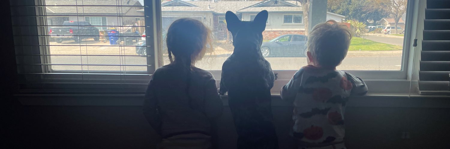 meg_custer's profile banner image