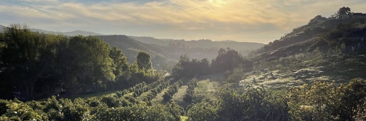 ɪᴢᴢʏ ᴘᴏʟʟᴀᴋ banner