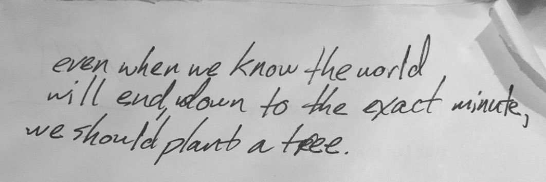 Whitney Jemison banner