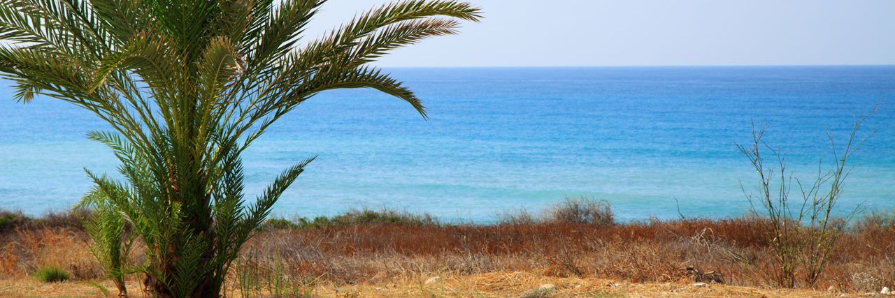 توفيق السيف's banner
