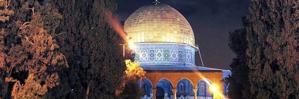 منال بربر manal banner