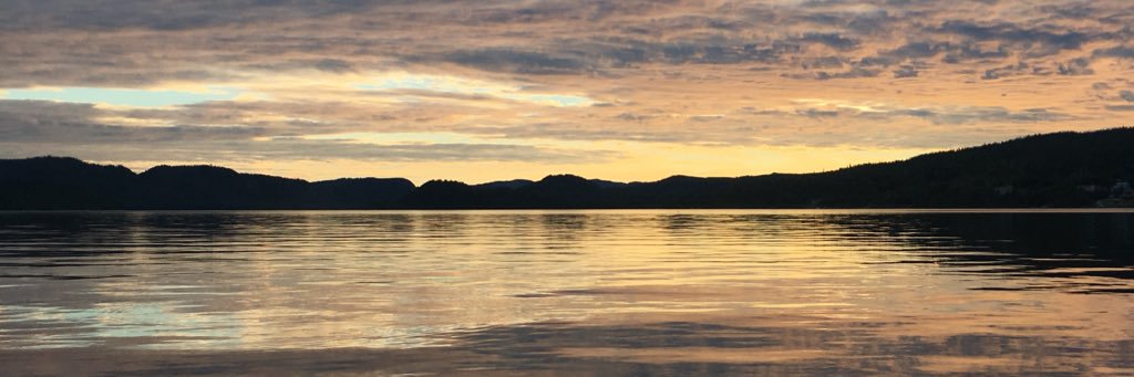 VickiLewis04's profile banner image