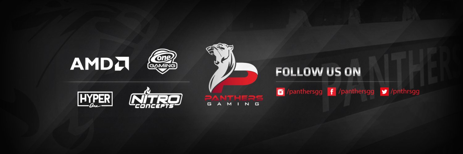 PANTHERS Gaming banner
