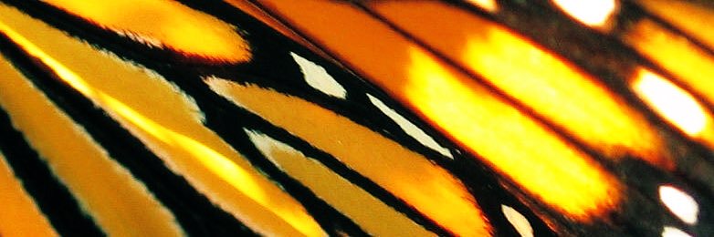 wlctothematriX's profile banner image