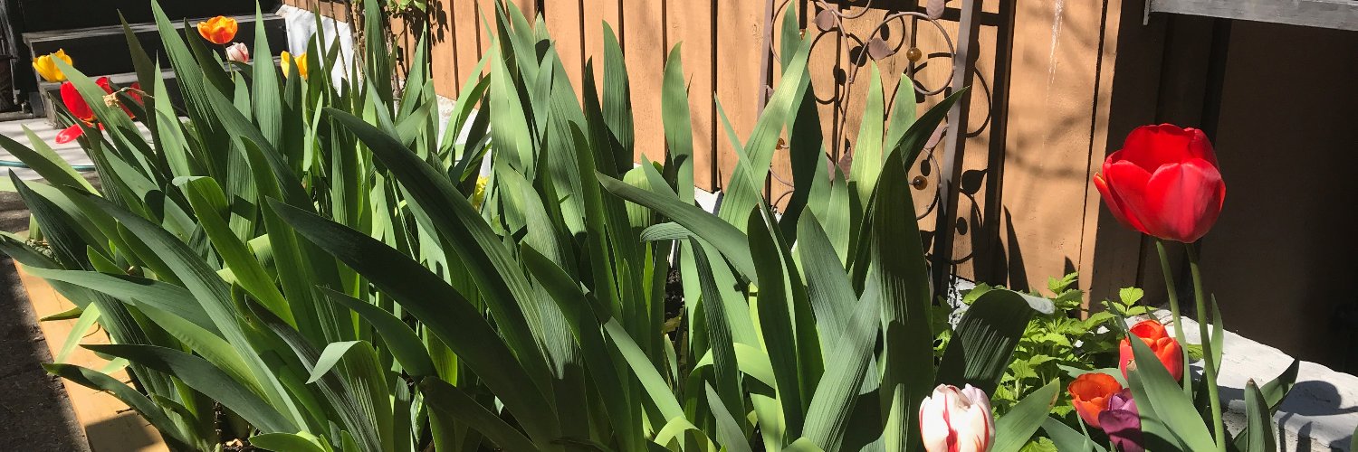 JessicaTatlow's profile banner image