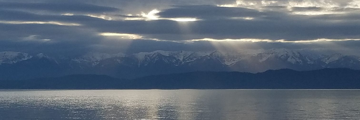 nickelass4's profile banner image
