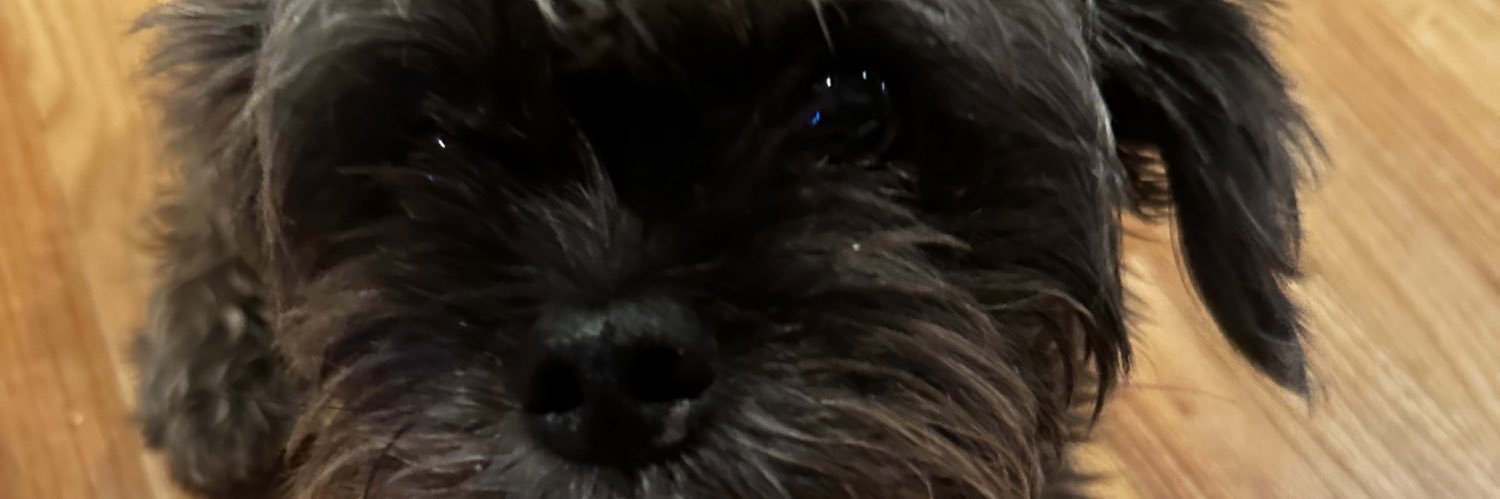 TaiMariaTweet's profile banner image