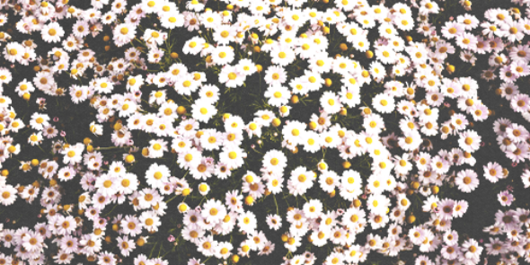 lawrencegdr's profile banner image