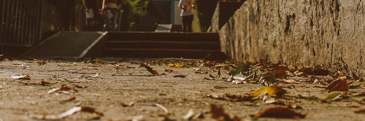 dicucchn's profile banner image