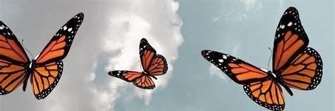 KamiViter's profile banner image