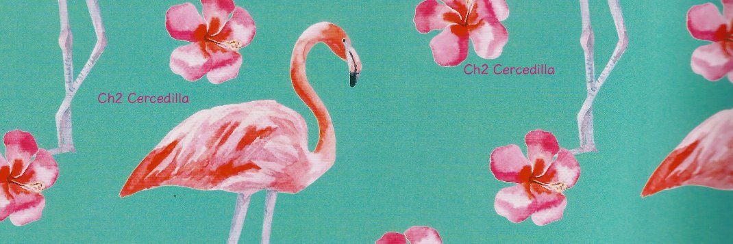 ch2online's profile banner image