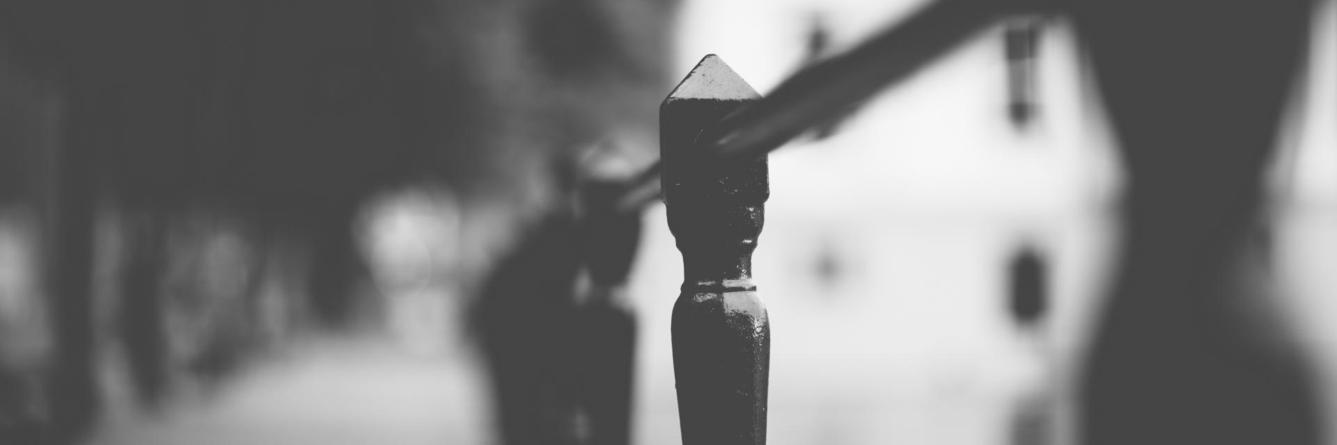 kestereverts's profile banner image
