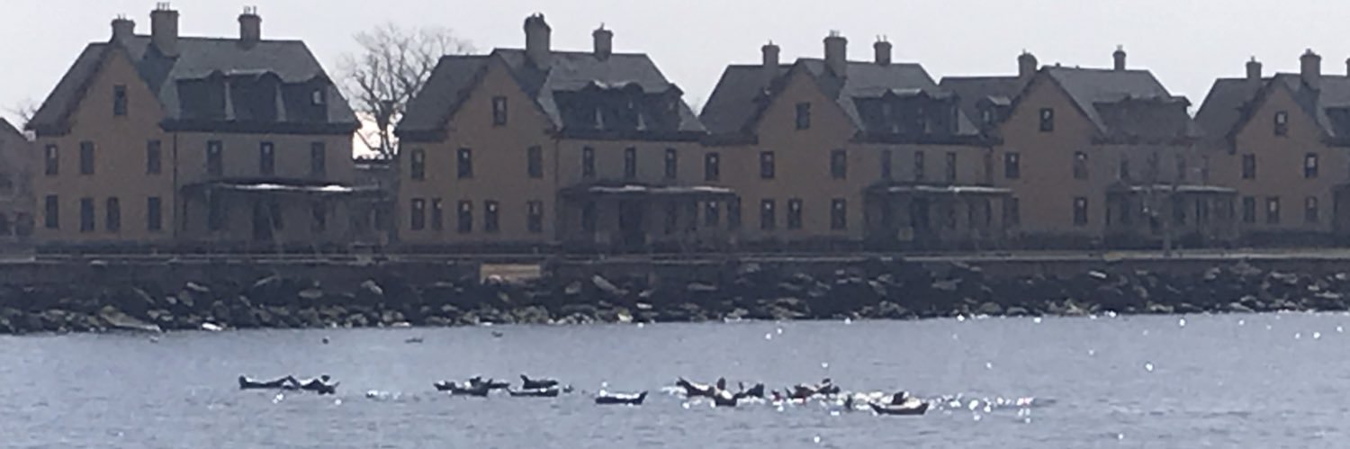 MAST_Research banner