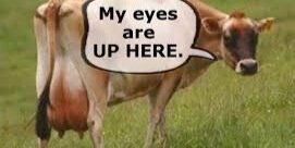 free_vaca's profile banner image