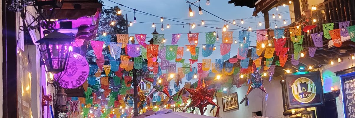 AngyyBony's profile banner image