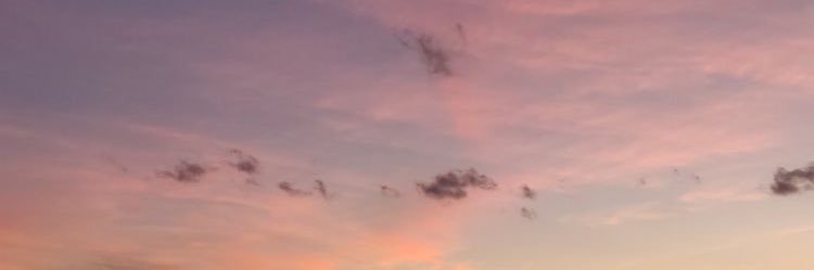 valeriedphan's profile banner image