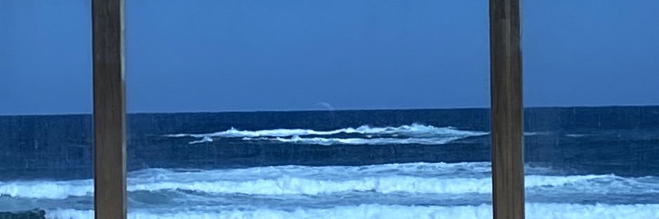 KING OF THE NIGHT YEAH! banner