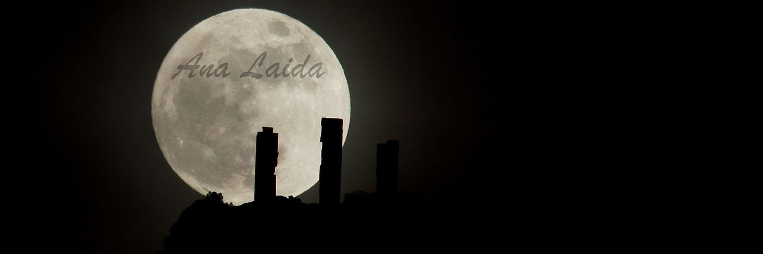 AnaLaidaa's profile banner image