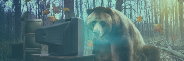 1001cine Profile Banner