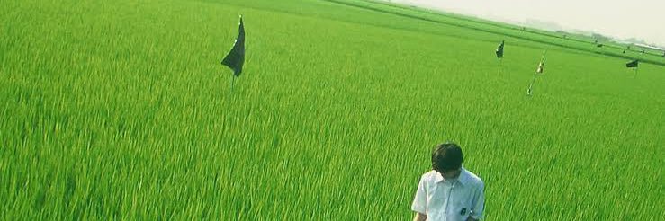 ทามะเติ้ล banner