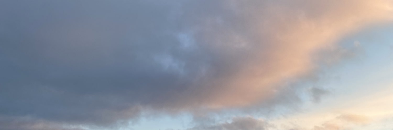 alisonllay's profile banner image