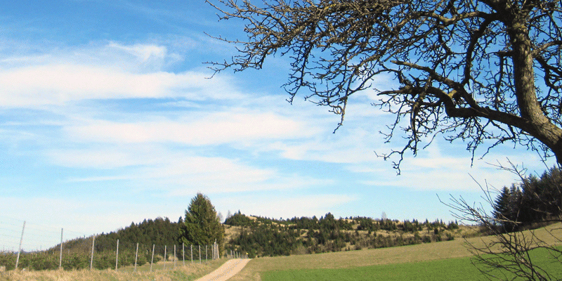 AutToni's profile banner image