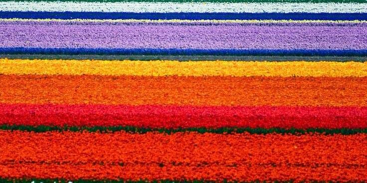 Postales de campo banner