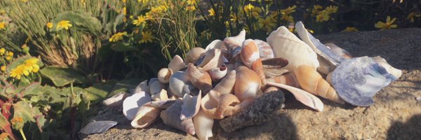 queer_elder Profile Banner