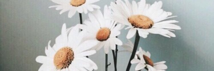 LovelyDestiiny's profile banner image