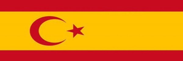 Josep Vicent Sala banner